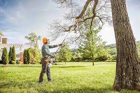 Best Lawn Irrigation Installation and Maintenance  in Adelanto, CA
